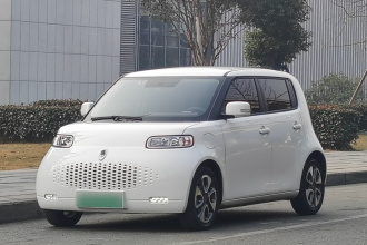 欧拉白猫 2020款 305km 豪华型