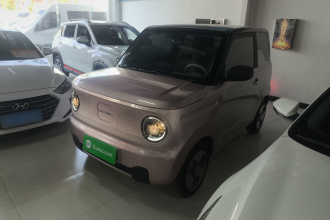 吉利银河 2023款 熊猫mini 200km 灵动熊