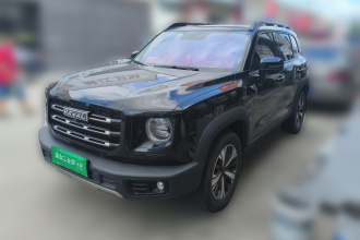 哈弗大狗 2022款 1.5T DCT两驱拉布拉多版