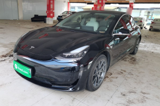 特斯拉 Model 3 2020款 改款 标准续航后驱升级版
