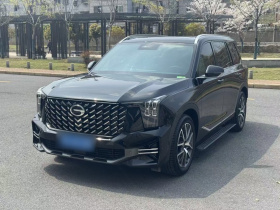 广汽传祺 传祺GS8 2025款 领航系列 2.0TGDI 两驱豪华版 5座