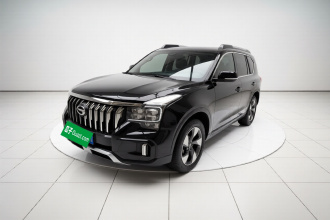 广汽传祺 传祺GS8 2021款 390T 两驱暗夜骑士版