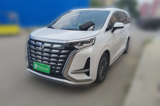 腾势D9 2024款 DM-i 1050 尊享型