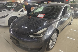 特斯拉 Model 3(进口) 2019款 长续航全轮驱动版