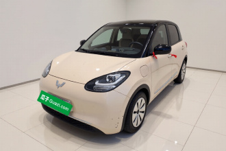 五菱汽车 五菱缤果 2023款 333km 快享款