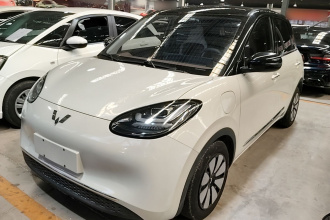 五菱汽车 五菱缤果 2023款 333km 灵犀互联款
