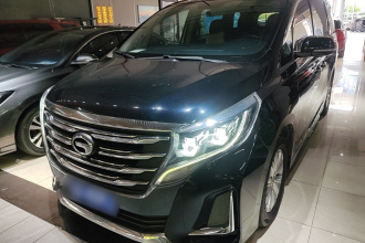广汽传祺 传祺M8 2020款 领航款 390T 尊享版