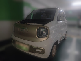 奔腾小马 2026款 222km 炫彩马