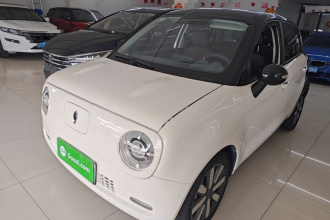 欧拉黑猫 2021款 351km 标准型