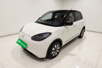 五菱汽车 五菱缤果 2024款 333km 悦享款