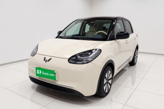 五菱汽车 五菱缤果 2023款 203km 舒享款