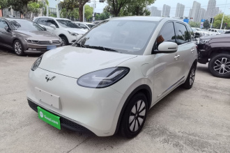 五菱汽车 五菱缤果 2023款 333km 悦享款