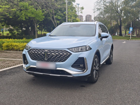 魏牌 拿铁DHT 2022款 1.5T DHT大杯