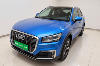 奥迪Q2L e-tron 2019款 Q2L e-tron 纯电智享型