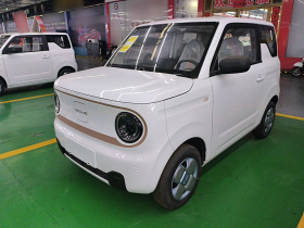 吉利银河 2024款 熊猫mini 200km 耐力熊