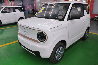 吉利银河 2024款 熊猫mini 200km 耐力熊