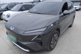 五菱汽车 五菱星光S 2024款 60km 进阶型