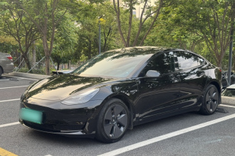 特斯拉 Model 3 2022款 后轮驱动版