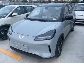 五菱汽车 五菱缤果PLUS 2024款 401km 五座版