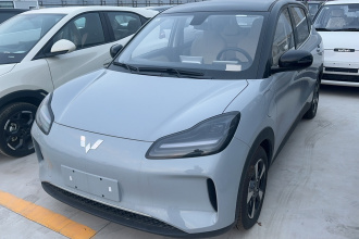 五菱汽车 五菱缤果PLUS 2024款 401km 五座版