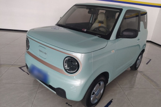 吉利银河 2023款 熊猫mini 200km 耐力熊