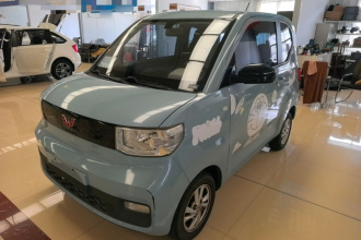 五菱汽车 宏光MINIEV 2020款 自在款 磷酸铁锂