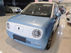 欧拉黑猫 2021款 351km 标准型