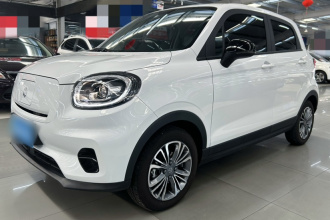 零跑汽车 零跑T03 2024款 310舒享版