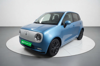 欧拉黑猫 2022款 301km 基础型 三元锂