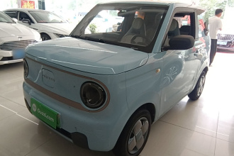 吉利银河 2023款 熊猫mini 200km 耐力熊