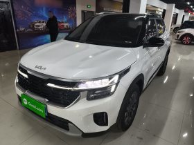 起亚 赛图斯 2023款 1.5L CVT豪华版
