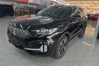 魏牌 VV6 2021款 2.0T 两驱智护+