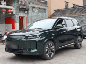 蓝电E5 PLUS 2025款 120km 标准旅行定制版 7座