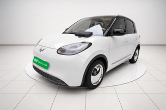 五菱汽车 五菱缤果 2023款 203km 舒享款