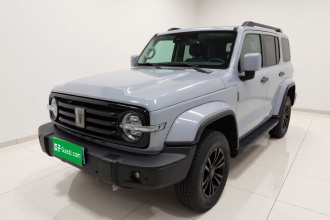 坦克300 2021款 城市版 2.0T 我看型