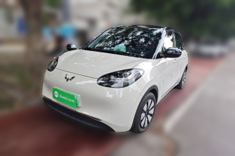 五菱汽车 五菱缤果 2023款 333km 悦享款