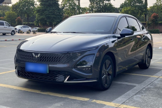 五菱汽车 五菱星光 2024款 共创版 150 标准型