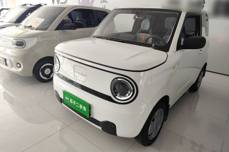 吉利银河 2024款 熊猫mini 200km 耐力熊