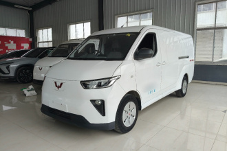 五菱汽车 五菱扬光 2024款 300km 舒适型封窗版 60kW