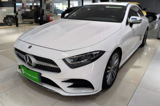 奔驰CLS 2020款 CLS 300 动感型
