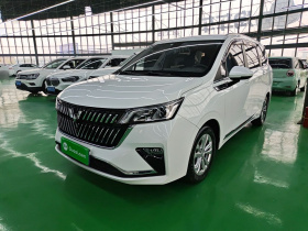 五菱汽车 五菱佳辰 2022款 1.5T CVT智享豪华型