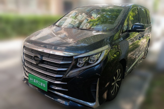 广汽传祺 传祺M8 2021款 领秀系列 390T 豪华版