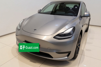 特斯拉 Model Y 2021款 改款二 长续航全轮驱动版