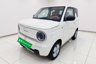 吉利银河 2023款 熊猫mini 200km 耐力熊