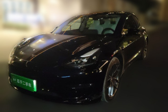 特斯拉 Model 3 2021款 Performance高性能全轮驱动版