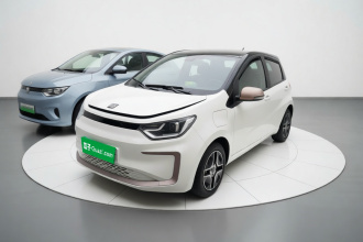 思皓 2022款 花仙子款 四叶草