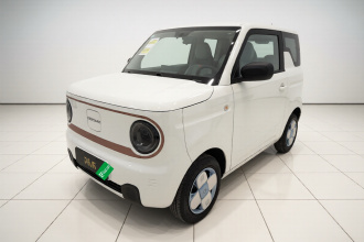吉利银河 2024款 熊猫mini 200km 耐力熊