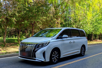 广汽传祺 传祺M8 2021款 领秀系列 390T 豪华版