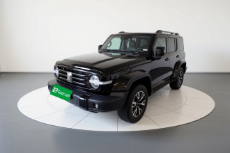 坦克300 2021款 城市版 2.0T 很有型