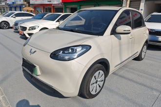 五菱汽车 五菱缤果 2023款 203km 轻享款